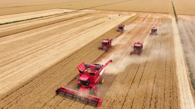 平博·(pinnacle)官方网站