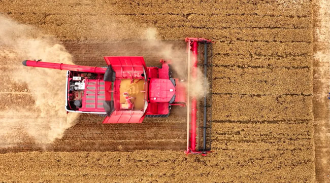 平博·(pinnacle)官方网站